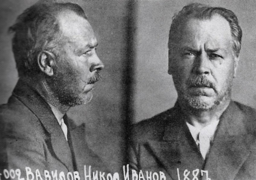 Nikolaj Vavilov i NKDV:s fängelse