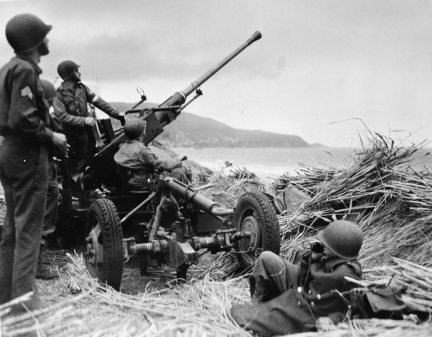 Bofors 40 mm Algeriet