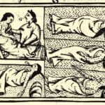 Pandemierna i Nya världen