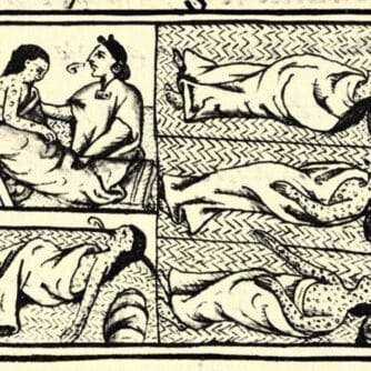 Pandemierna i Nya världen