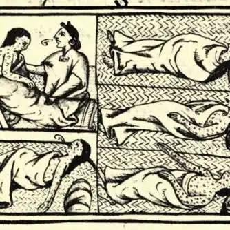 Pandemierna i Nya världen