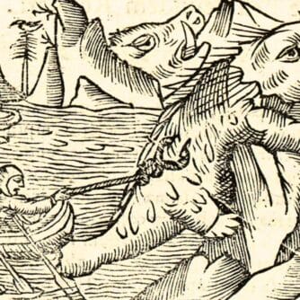 Vikingarnas valrossjakt på Grönland