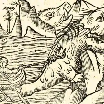 Vikingarnas valrossjakt på Grönland